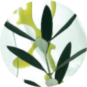 Image module